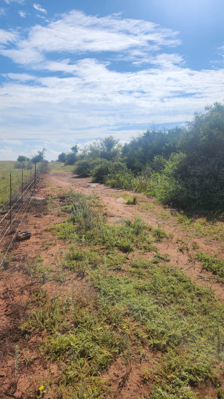 Commercial Property for Sale in Lichtenburg Rural North West